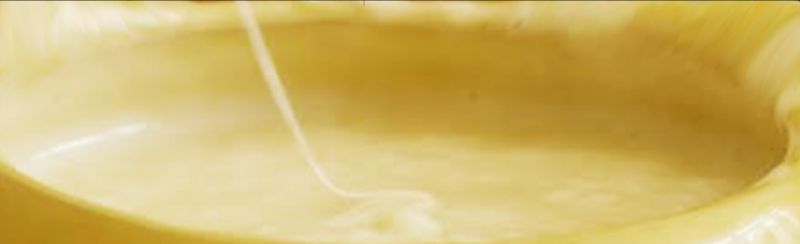文件:Cheese spring.jpg