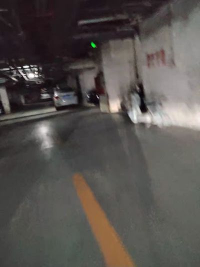 追逐.jpg