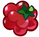 果冻莓.png