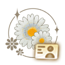 Icon 名片 贴纸·菊花.png