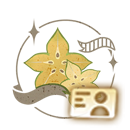 Icon 名片 贴纸·杨桃.png