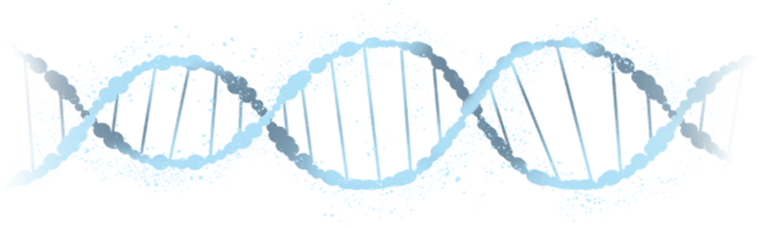 词条百科 人文科学-森罗-科学研究-Ｘ细胞异化综合征.png