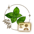 Icon 名片 贴纸·薄荷叶.png