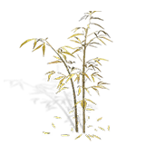 Furniture icon 不秋草.png