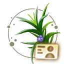 Icon 名片 贴纸·迷迭香.png