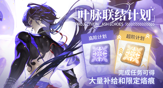 叶脉联结计划·11期