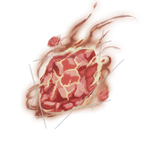 Rog item 核心·飞焰流星.png