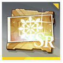 Icon item 叶脉联结烙痕自选·XV.png