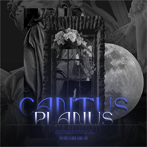 官方音乐 专辑封面 Cantus Planus.png