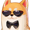 Chatmore 头像 维莱.png