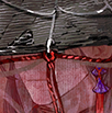 Chatmore 头像 海错·斗笠·清和.png