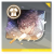 Icon item 立绘映像·「如晦」.png