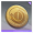 Icon item 游艺硬币.png