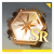 Icon item 记忆之契·SR.png