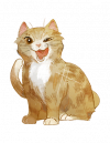 今日逸事 藏品 06.png