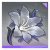 Icon item 魔法黯银花.png