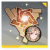 Icon item 相对可知论·苏筱.png