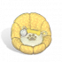 Furniture icon 初识点滴.png