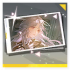 Icon item 记忆烙痕·「未晞」.png