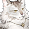 Chatmore 头像 陀螺.png