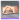 Icon item 特展纪念券.png