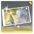 Icon item 记忆烙痕·「最初章」.png