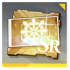 Icon item 叶脉联结烙痕自选·XV.png