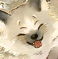 Chatmore 头像 幼年·原型·温留.png
