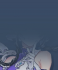 Chatmore 头像 芙蕖 遮罩.png