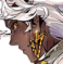 Chatmore 头像 阿兰那.png
