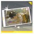 Icon item 记忆烙痕·「一枕酣甜」.png