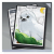 Icon item 好运天降.png