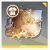 Icon item 立绘映像·「寒芳诣门」.png
