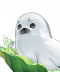 角色 豹富 头像.png