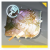 Icon item ChatMore映像·「来日诗」.png