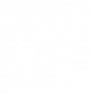 Team W logo.png