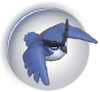 闪枭阶段一.png