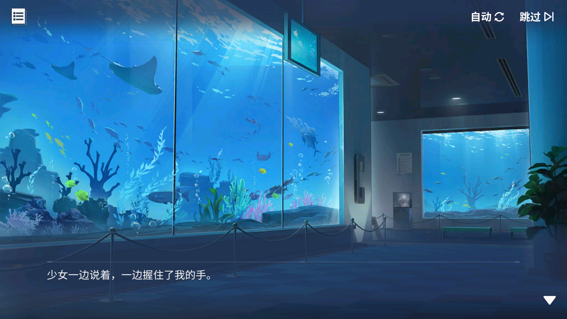 回忆 假日！心跳！大邮轮！ 海上水族馆031.jpg