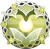 纪念贴：藤曼魔法