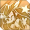 Skillicon 如影幻梦.png