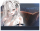 文件夹 白凤.png