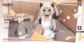 2025年2月8日 (六) 12:33版本的缩略图