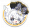 亚历山大喵头像.png