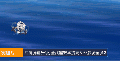 2026年8月13日 (四) 22:54版本的缩略图