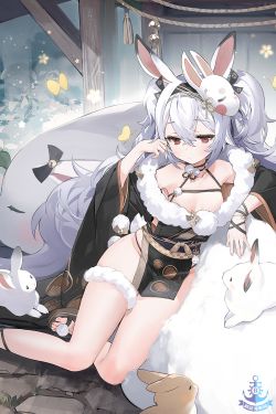 拉菲II换装2.jpg