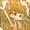 Skillicon 振翅反护+.png