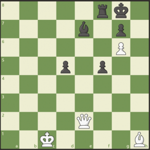 埃姆登国际象棋2.png