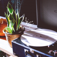 JUUS 克利夫兰 2.png