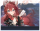 文件夹 花剑.png