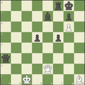 埃姆登国际象棋3.png